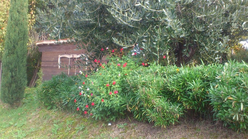 Bed and Breakfast Poggio Dei Prugnoli Tavoleto Exterior foto