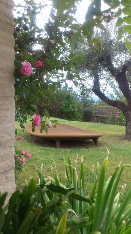 Bed and Breakfast Poggio Dei Prugnoli Tavoleto Exterior foto
