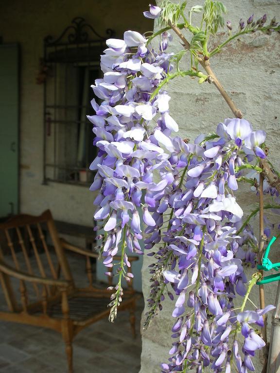 Bed and Breakfast Poggio Dei Prugnoli Tavoleto Exterior foto